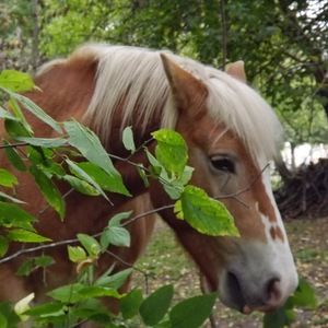 Meet your Posher, Holly